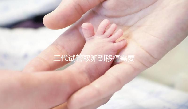 三代試管取卵到移植需要多久？總體時(shí)間安排分析