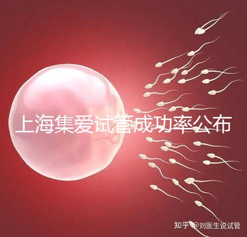 上海集愛(ài)試管成功率公布，排名輕松進(jìn)入全國(guó)前二十！