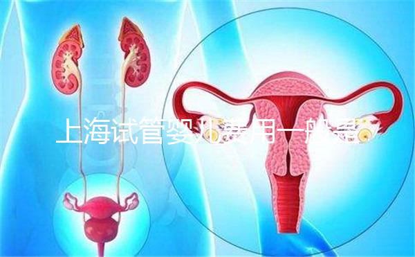 上海試管嬰兒費(fèi)用一般是多少?2025年費(fèi)用明細(xì)全解析、各技術(shù)方案價(jià)格對(duì)比與科學(xué)省錢全指南