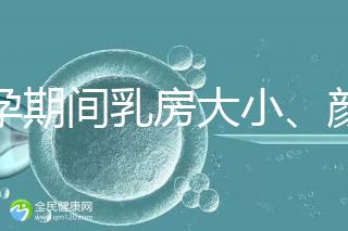 懷孕期間乳房大小、顏色變化有區別，男寶女寶這樣看
