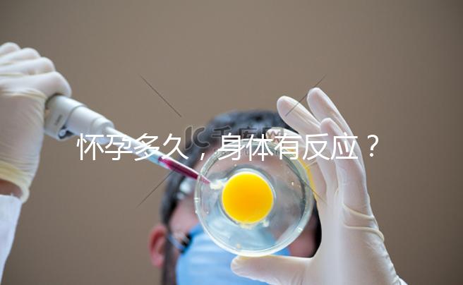 懷孕多久,身體有反應(yīng)?