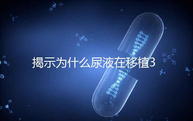 揭示為什么尿液在移植30天后需要稀釋才能測量，正常情況下不一目了然