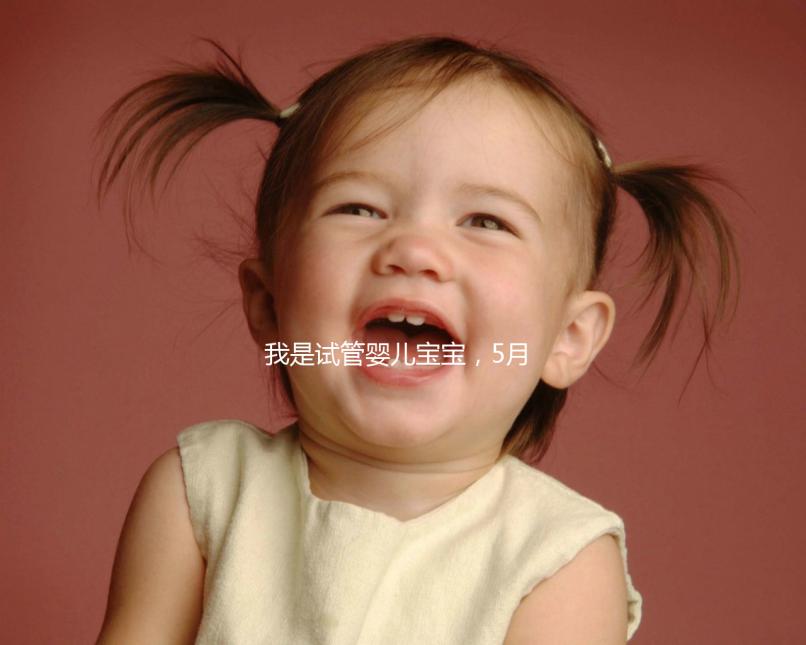 我是試管嬰兒寶寶,5月15號移植的囊胚,預(yù)產(chǎn)期是怎么算的 。。?