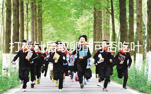 打夜針后取卵前可否吃葉酸看這，能提高卵子質量可別不信