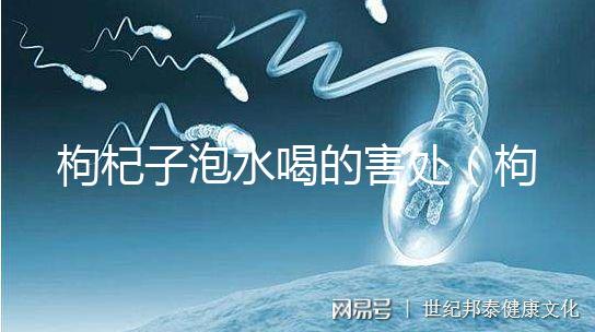 枸杞子泡水喝的害處(枸杞泡幾個小時后不能喝)