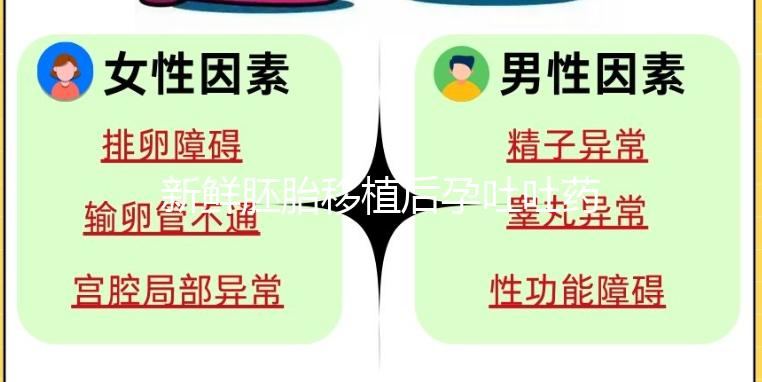 新鮮胚胎移植后孕吐吐藥怎么辦？試管醫(yī)生會(huì)給你一些建議