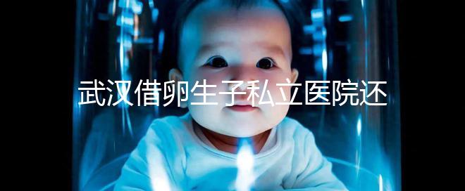 武漢借卵生子私立醫(yī)院還得看這幾家,協(xié)和、同濟醫(yī)院上榜