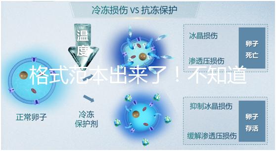 格式范本出來了！不知道出生證明遺失申請書怎么寫看這兒