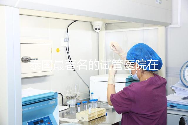 泰國最著名的試管醫院在哪里最好？推薦助孕機構名單