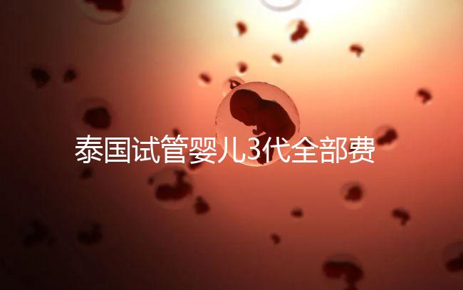 泰國試管嬰兒3代全部費用大概是多少？