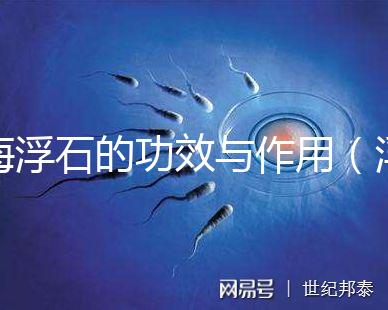 海浮石的功效與作用（浮石為何叫癌癥之王）