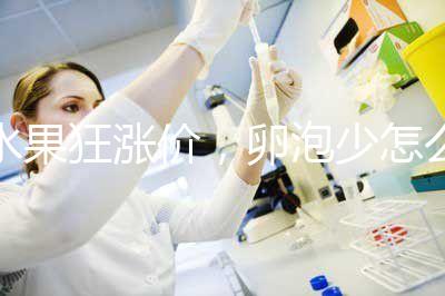 水果狂漲價，卵泡少怎么吃對卵子質量好？不妨看看這里