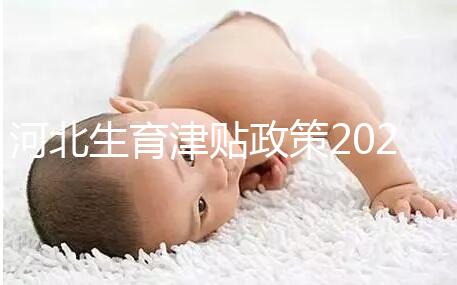 河北生育津貼政策2024，想造石家莊怎么算、多久到賬戳這