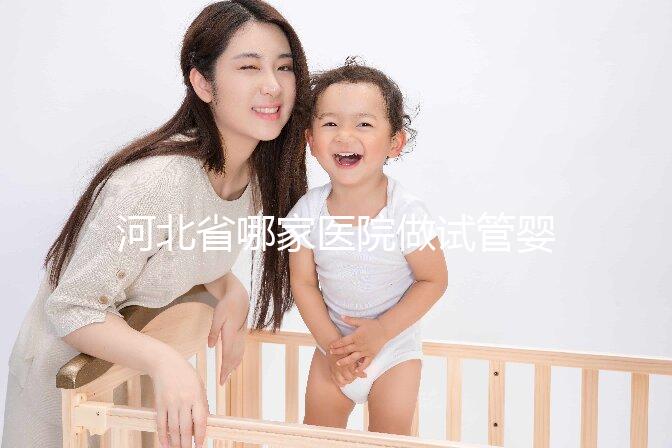 河北省哪家醫院做試管嬰兒好？這5家醫院成功上榜！