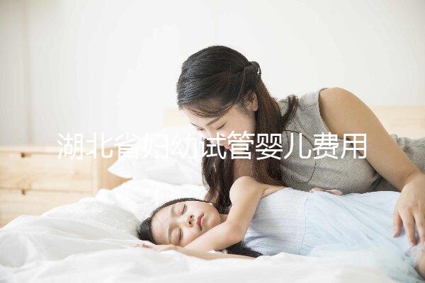 湖北省婦幼試管嬰兒費用指南，單次助孕收費標準參考