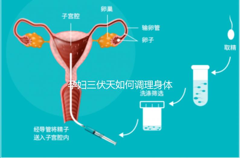 孕婦三伏天如何調(diào)理身體看這,專家:不建議曬太陽(yáng)補(bǔ)鈣