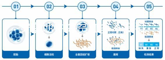 安徽地中海貧血多不多戳，合肥比例低也要早發現早治療