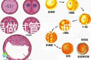 宜昌做試管嬰兒成功率和費用多少？先看哪些醫院能做吧！