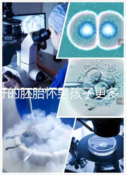 好的胚胎懷男孩子更多，驚呀！什么時候質量決定性別了