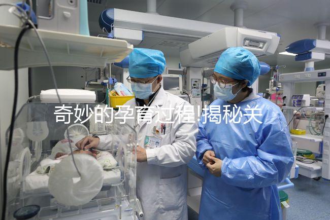 奇妙的孕育過(guò)程!揭秘關(guān)于胚胎移植的神秘14天