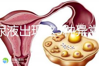 當(dāng)尿液出現(xiàn)這5種異常情況，那么腎功能檢查刻不容緩