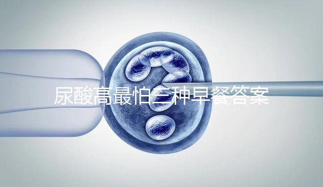 尿酸高最怕三種早餐答案來(lái)了,孕期能不能吃包子一覽了然