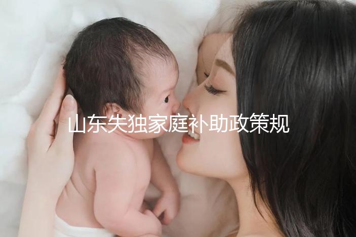 山東失獨(dú)家庭補(bǔ)助政策規(guī)定2024,濟(jì)南超過60歲每月領(lǐng)一千