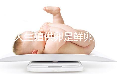 山大生殖供卵是鮮卵還是凍卵分情況，別還不清楚質(zhì)量如何