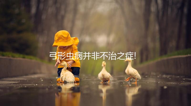 弓形蟲病并非不治之癥!感染后一般以藥物治療為主