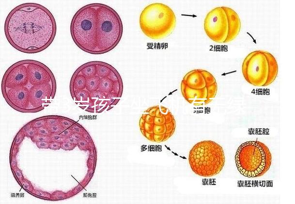 帶3歲孩子坐飛機有無綠色通道答案揭曉，提前申請免排隊