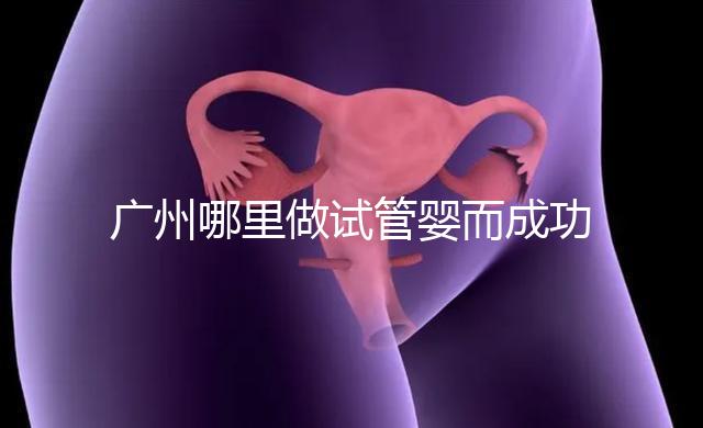 廣州哪里做試管嬰而成功率高？如何提高成功率？