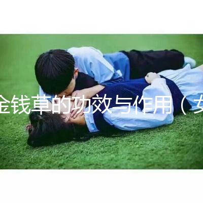 金錢(qián)草的功效與作用(女人長(zhǎng)期喝金錢(qián)草的好處)