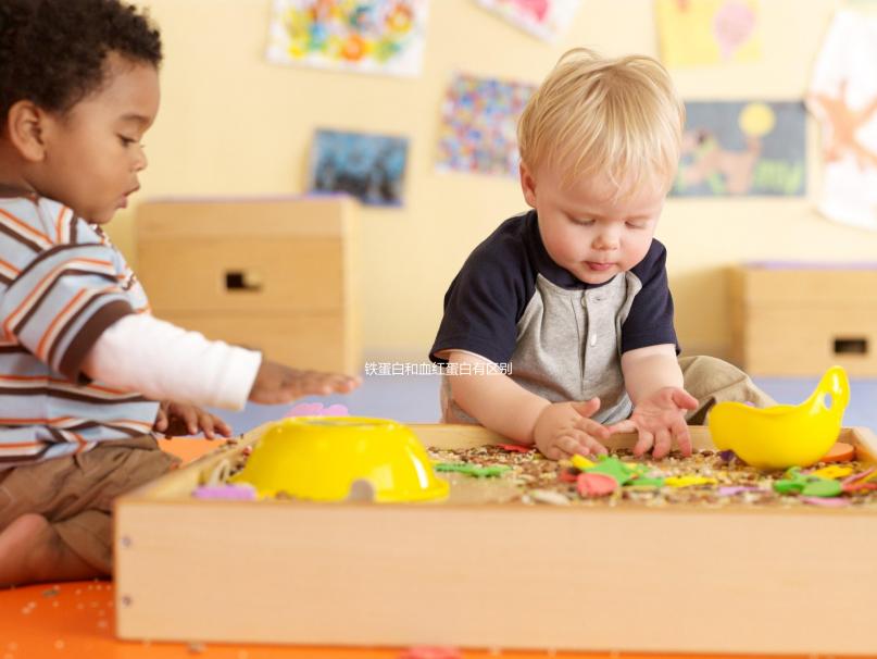 鐵蛋白和血紅蛋白有區(qū)別!通過這2點(diǎn)可詳細(xì)區(qū)分