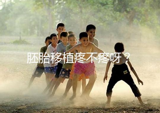 胚胎移植疼不疼呀？