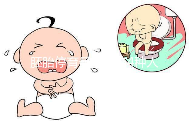 胚胎停育最愛找這4種人的麻煩,學會預防降低風險