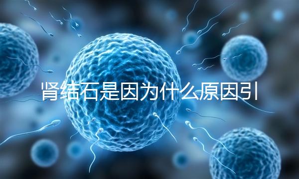 腎結(jié)石是因?yàn)槭裁丛蛞鸬模I結(jié)石是因?yàn)槭裁丛蛞鸬?9歲)