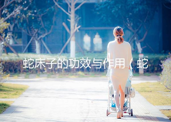 蛇床子的功效與作用（蛇床子對男性功效和作用）