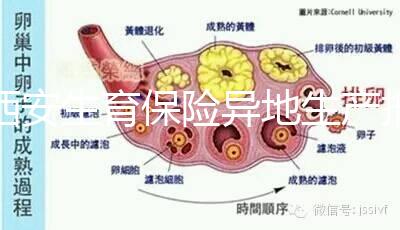西安生育保險異地生產報銷流程及程序公開，不懂收藏