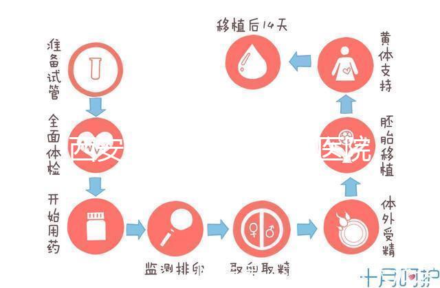 西安能做試管嬰兒的醫院哪家成功率最高?本地Top 5推薦
