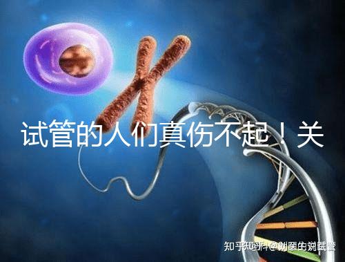 試管的人們真傷不起！關于養囊的成功率這些你得知道