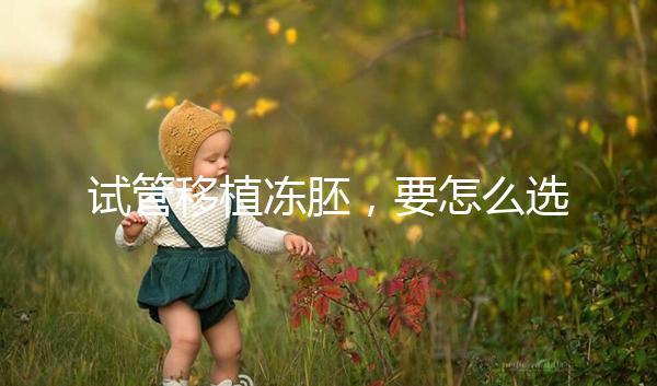 試管移植凍胚,要怎么選擇方案