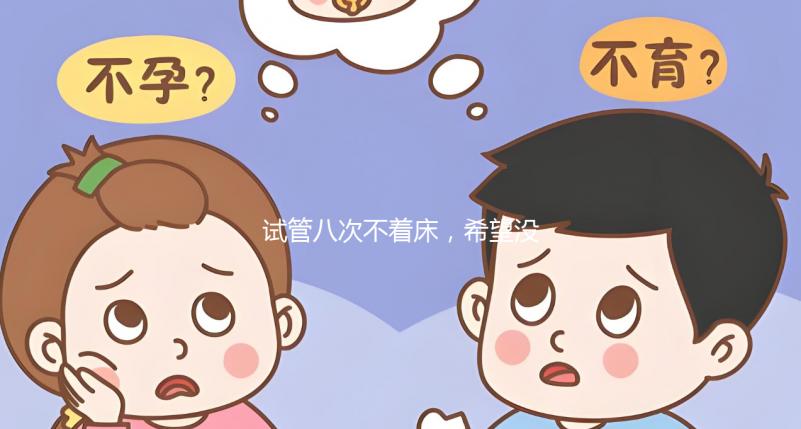 試管八次不著床，希望沒問題回答宮腔環境是關鍵