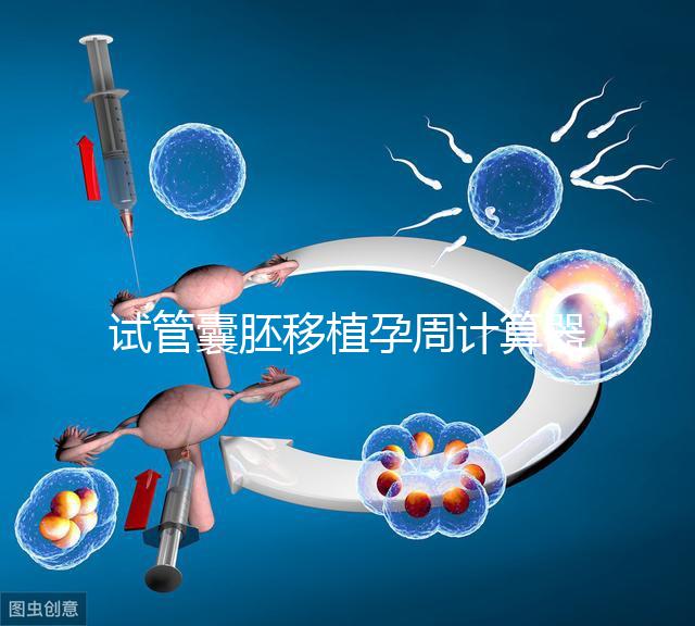 試管囊胚移植孕周計算器，試管嬰兒如何計算孕周和預產期