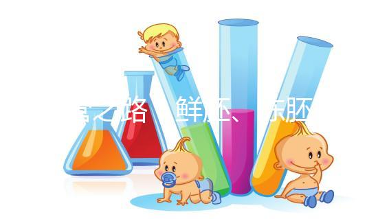 試管之路：鮮胚、凍胚、桑椹胚、囊胚，選擇哪種成功率更高？