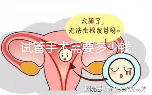試管手術需要多少錢