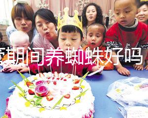 試管期間養蜘蛛好嗎？人們告訴你，這些影響應該早知道