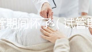 試管期間懷了（試管期間懷了雙胞胎）