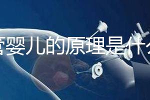 試管嬰兒的原理是什么?一代二代三代有什么區(qū)別?