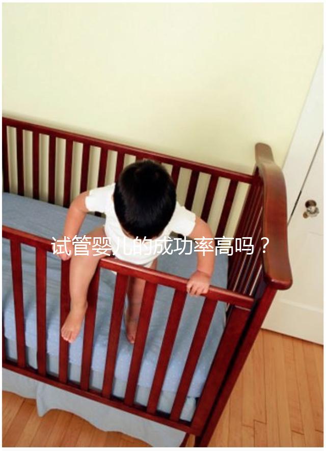 試管嬰兒的成功率高嗎?卵泡質(zhì)量或為關(guān)鍵因素