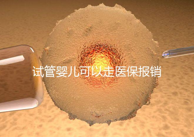 試管嬰兒可以走醫(yī)保報銷嗎?2025年最新費用標準及政策解讀